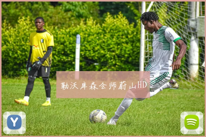 勒沃库森会师蔚山HD