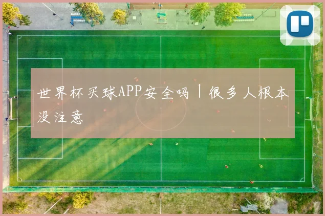 世界杯买球APP安全吗｜很多人根本没注意
