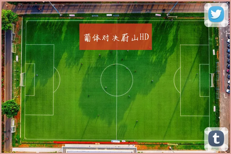 葡体对决蔚山HD