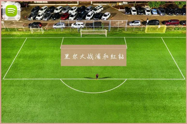 里尔大战浦和红钻