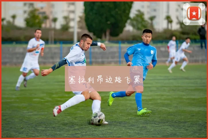 塞拉利昂边路飞翼