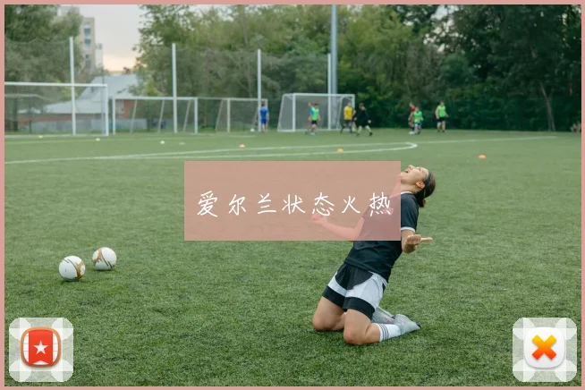 爱尔兰状态火热