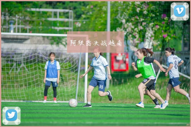 阿联酋决战越南