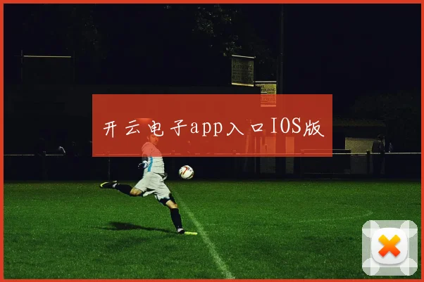 开云电子app入口IOS版