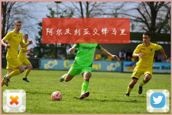 阿尔及利亚交锋马里