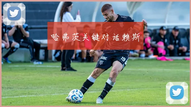 哈弗茨关键对话赖斯