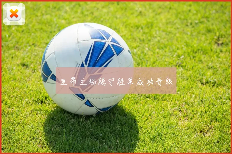 里昂主场稳守胜果成功晋级