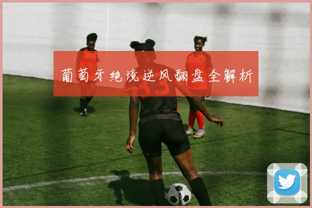葡萄牙绝境逆风翻盘全解析