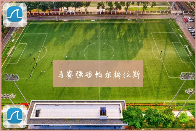 马赛强碰帕尔梅拉斯
