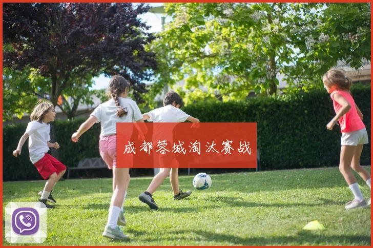 成都蓉城淘汰赛战