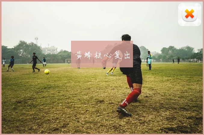 黄蜂核心复出