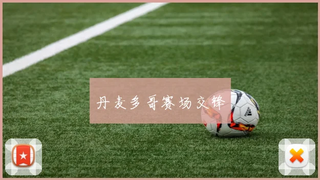 丹麦多哥赛场交锋