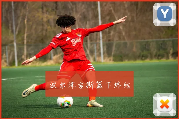 波尔津吉斯篮下终结
