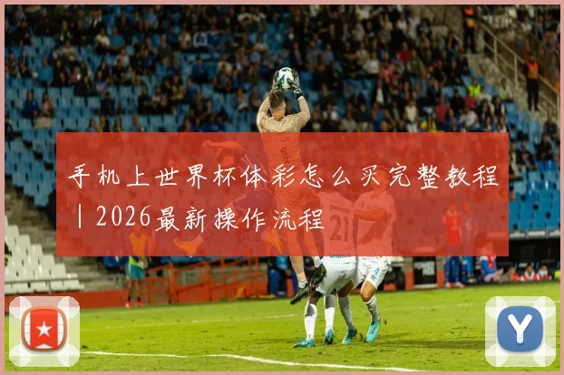 手机上世界杯体彩怎么买完整教程｜2026最新操作流程