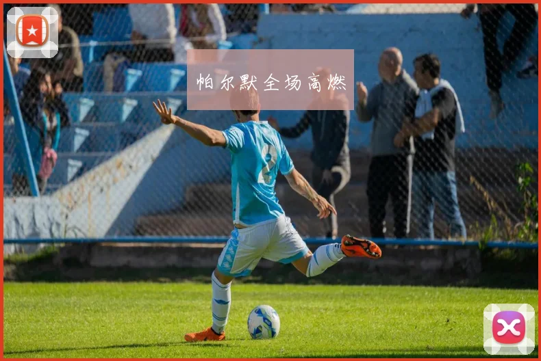 帕尔默全场高燃