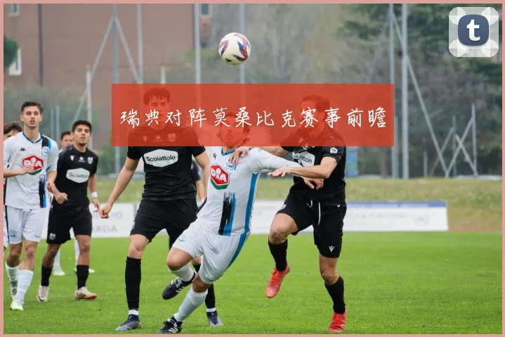 瑞典对阵莫桑比克赛事前瞻
