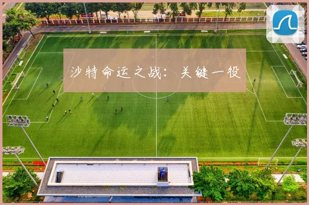 沙特命运之战：关键一役