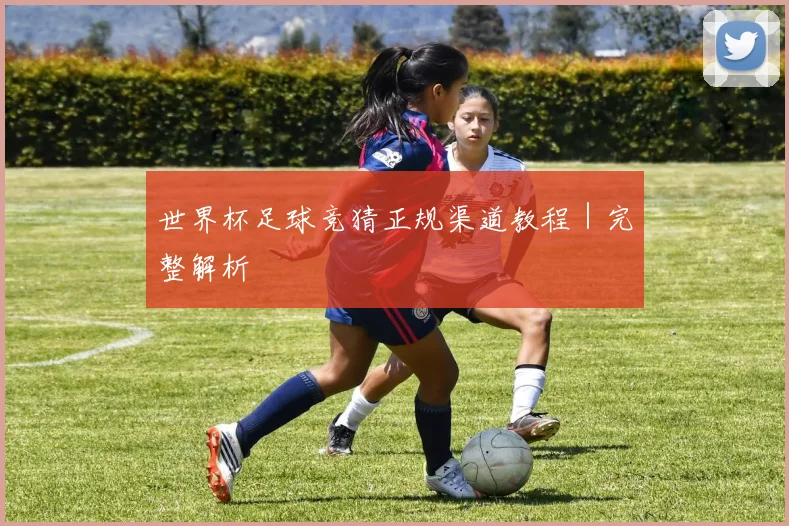世界杯足球竞猜正规渠道教程｜完整解析