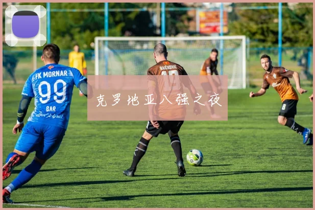 克罗地亚八强之夜