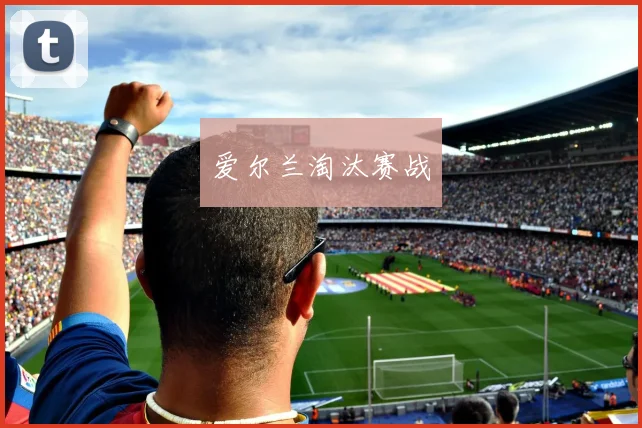 爱尔兰淘汰赛战