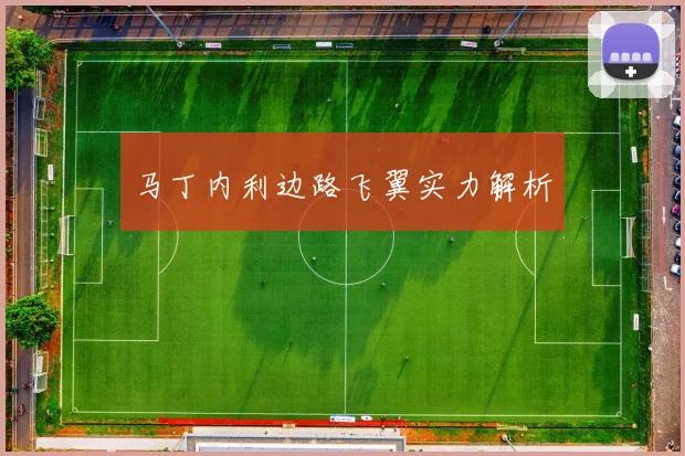 马丁内利边路飞翼实力解析