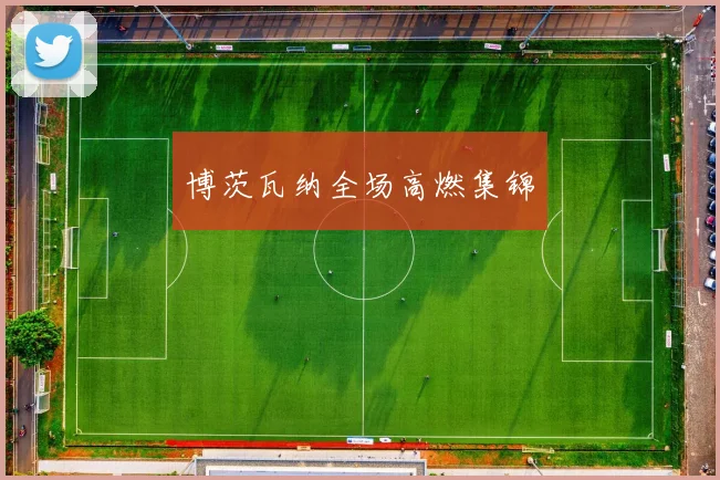 博茨瓦纳全场高燃集锦