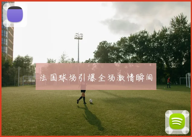 法国球场引爆全场激情瞬间