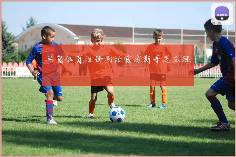 半岛体育注册网址官方新手怎么玩