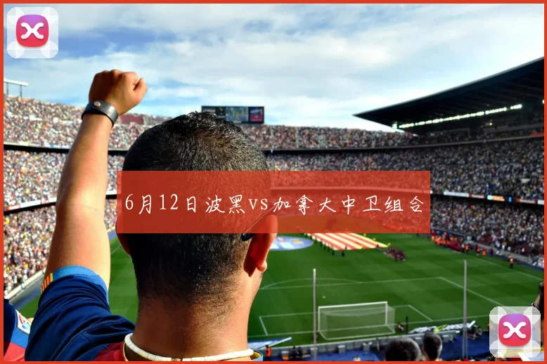 6月12日波黑vs加拿大中卫组合