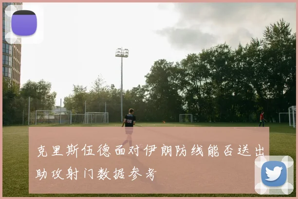 克里斯伍德面对伊朗防线能否送出助攻射门数据参考