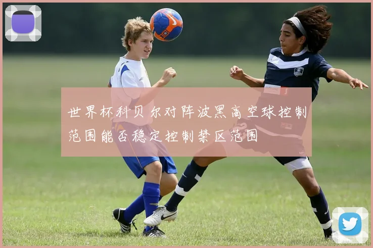 世界杯科贝尔对阵波黑高空球控制范围能否稳定控制禁区范围